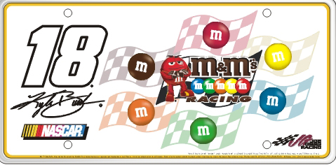 Sponsor Series Kyle Busch #18 M&M B